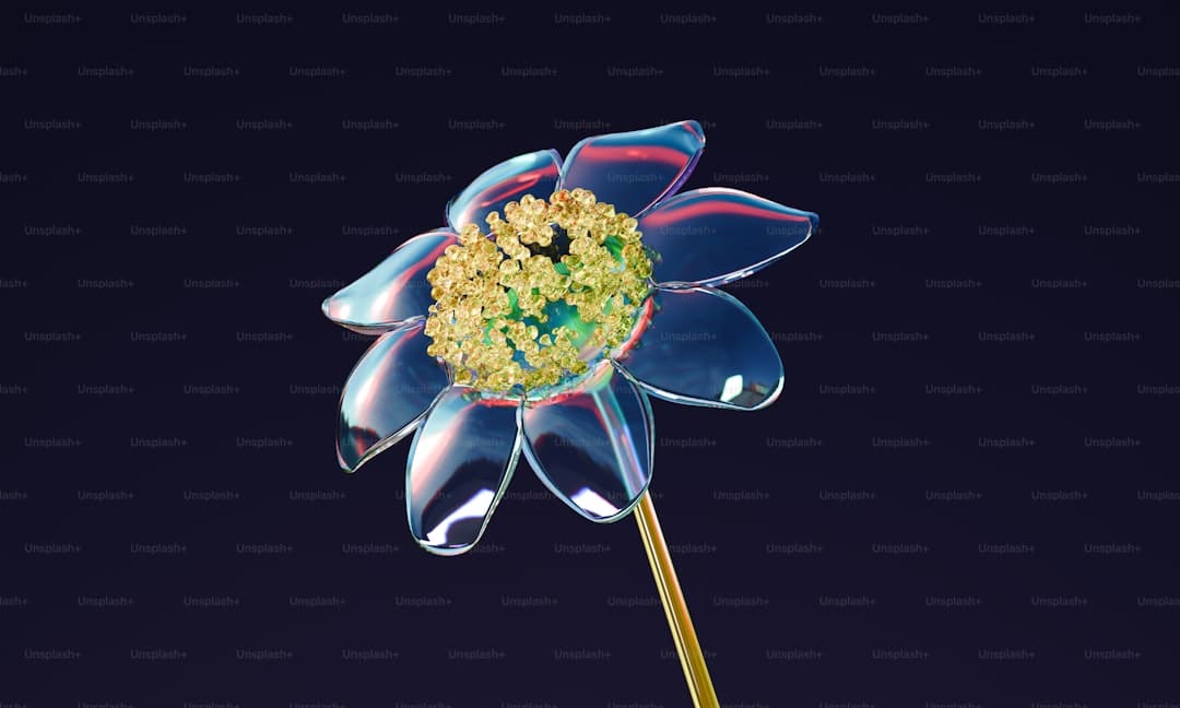 孙颖莎说经常见到清晨6点的北京